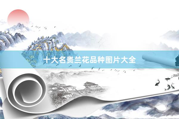 十大名贵兰花品种图片大全